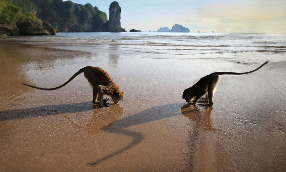 Photograph by Виктор Смирнов