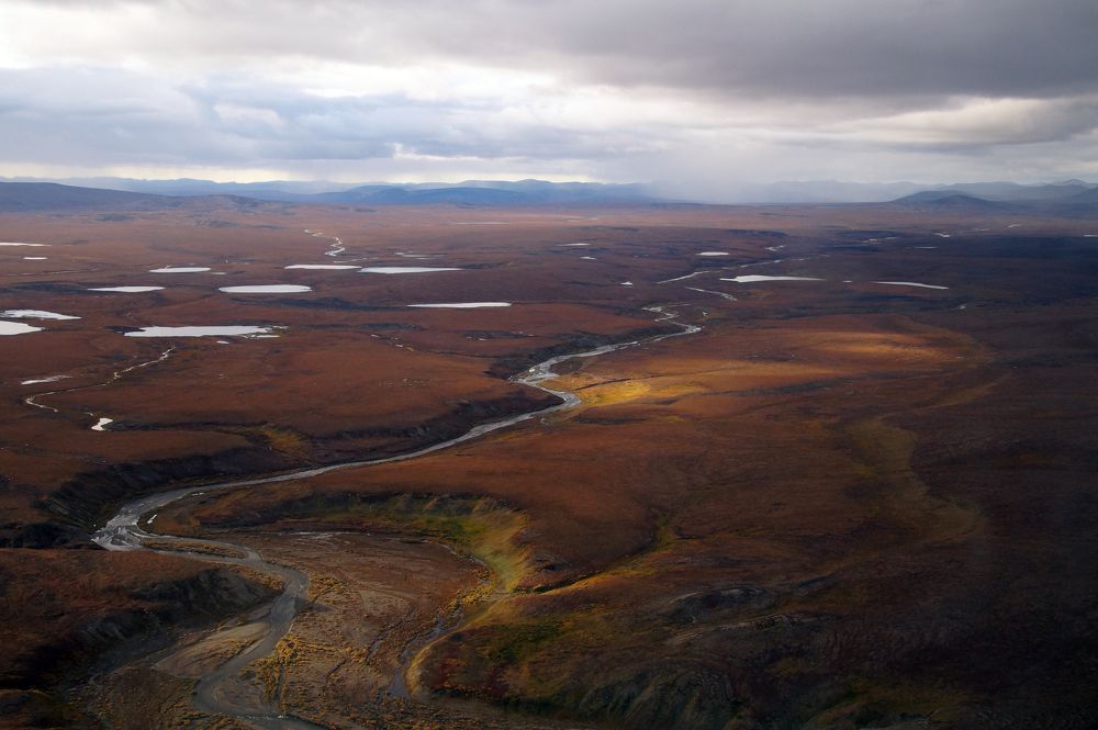 Photograph by Ирина Щеглова