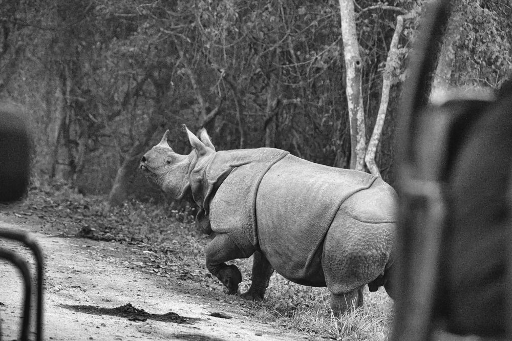 Photograph by Snehanand Sinha