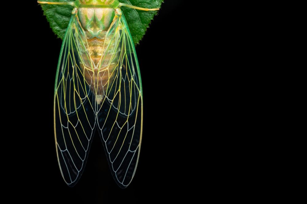 Photograph by Ragul Lourdhunathan