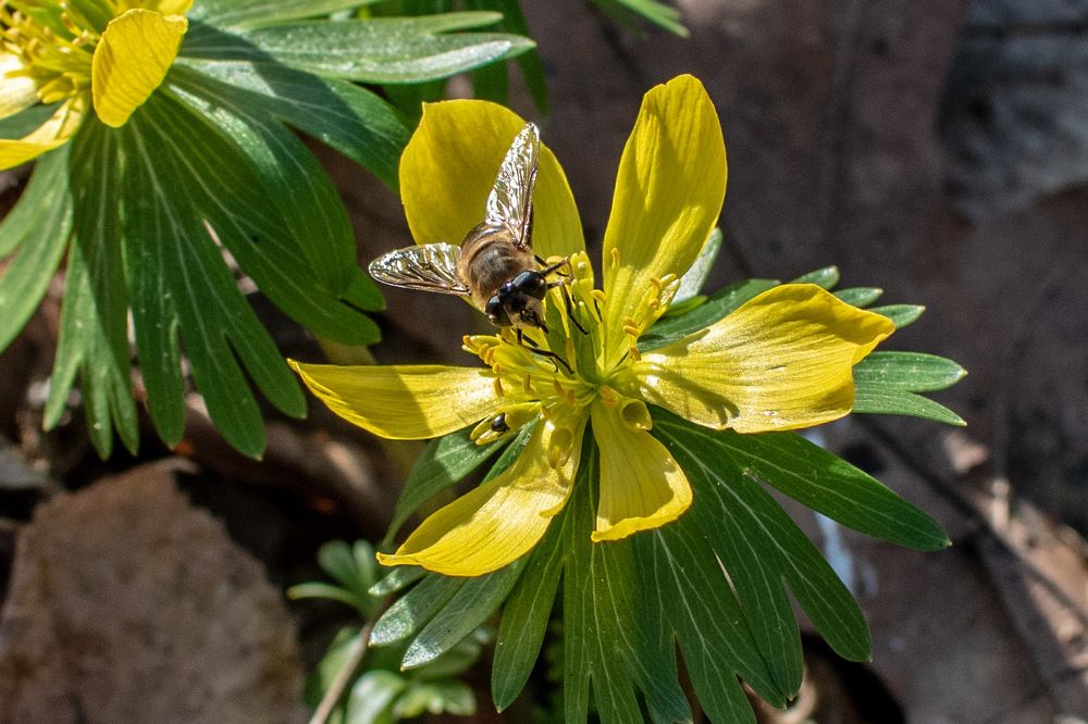 Photograph by Zsuzsa Décsi