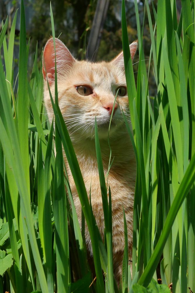 Photograph by Александр Пинаев