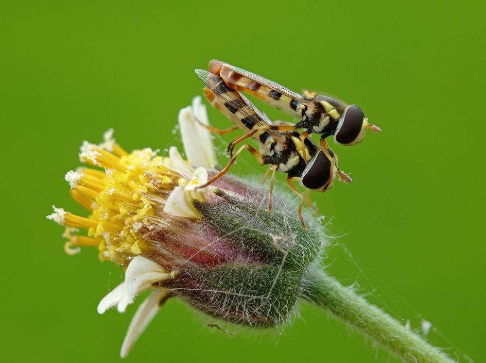 Photograph by Angelica Gutierrez