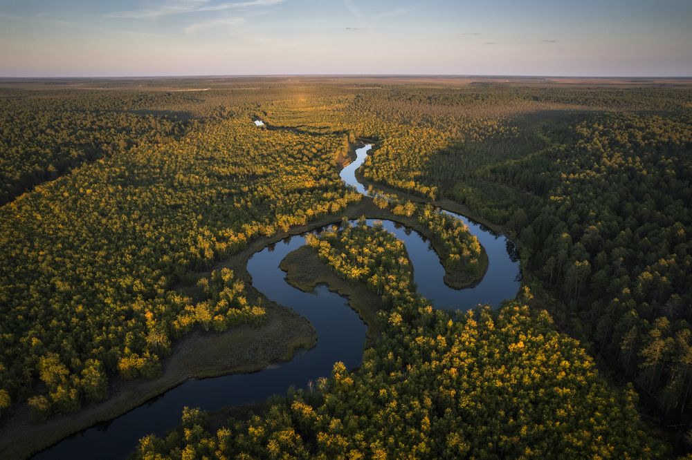 Photograph by Татьяна Борисова