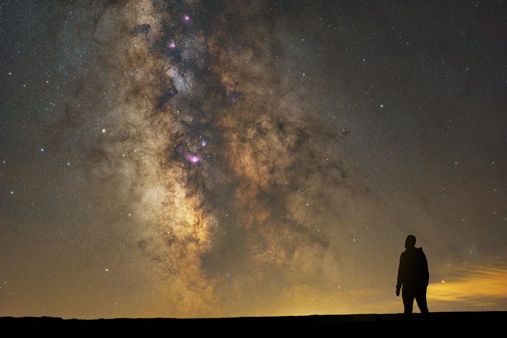 Photograph by Patrick