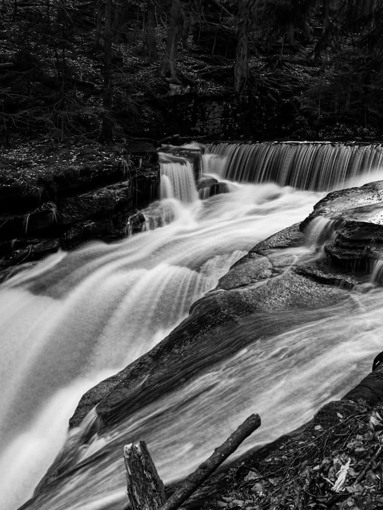 Photograph by Александра ЦАРЮК