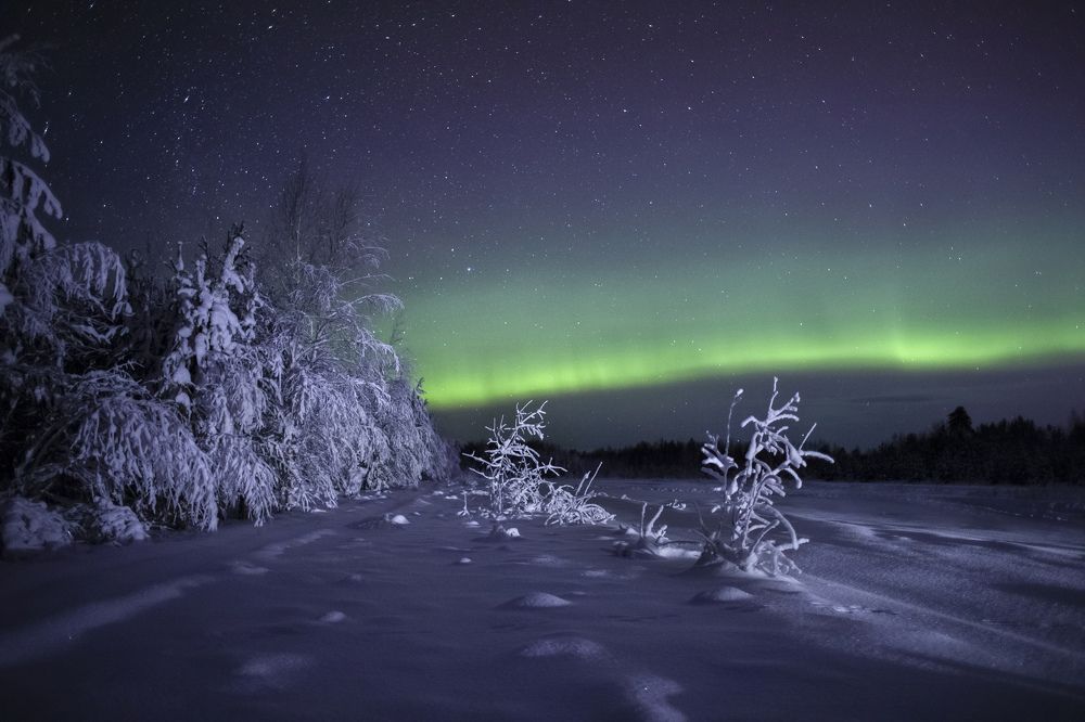 Photograph by Татьяна Борисова