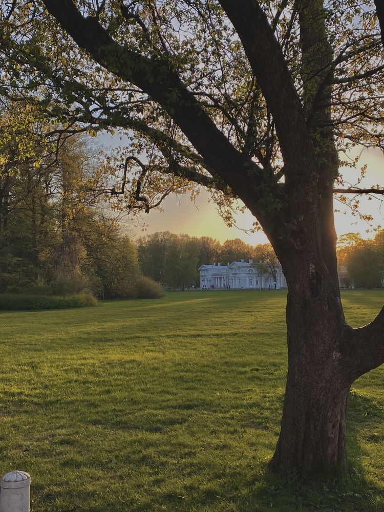 Photograph by Ирина Волгина