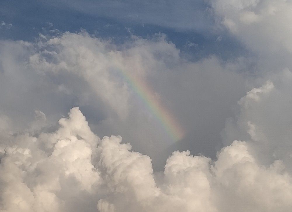 THE BLUE AND THE RAINBOW