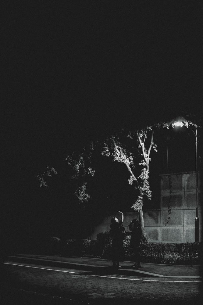 Photograph by Hwan Lee