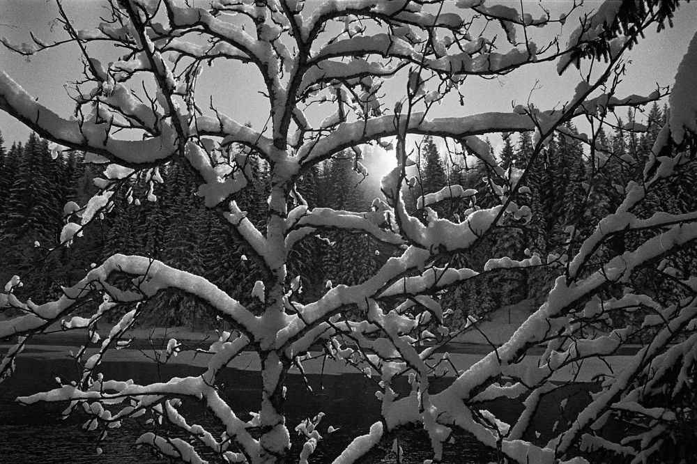 Photograph by Renovatio Craft