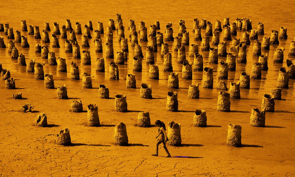 Фотография автора Alireza Bagheri sani