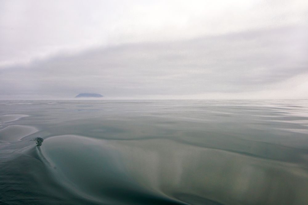 Photograph by Ирина Щеглова