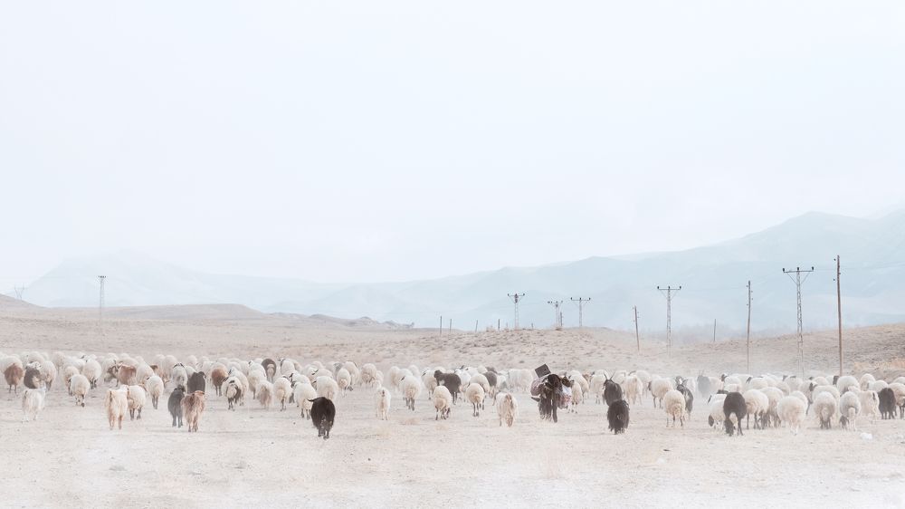 Photograph by Alex Belov