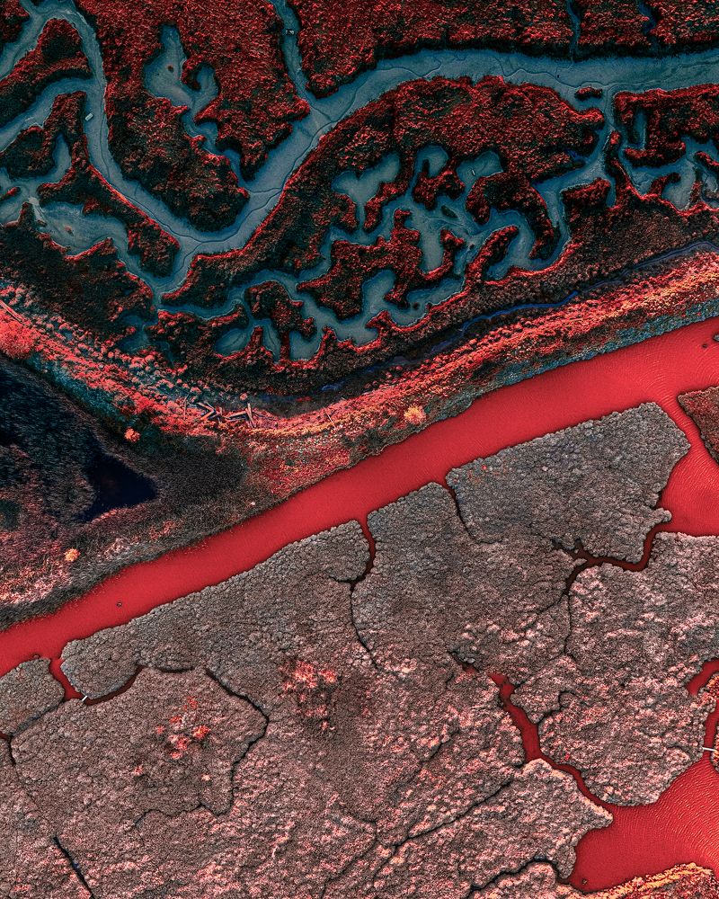 Photograph by Yantsen Alina