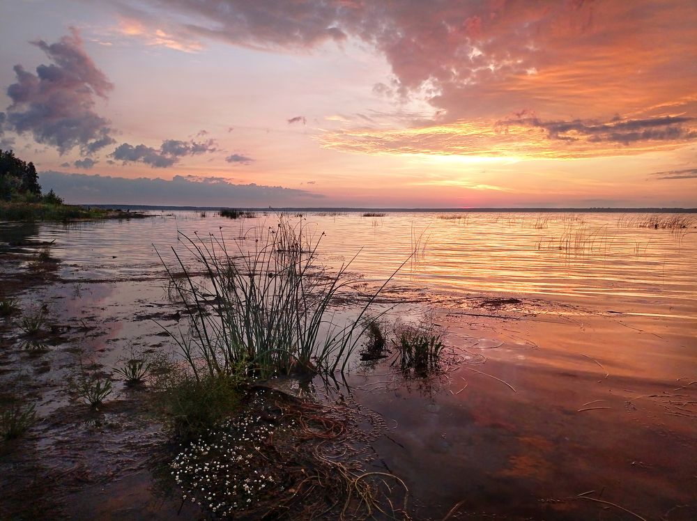 Фотография автора Кухта Мария