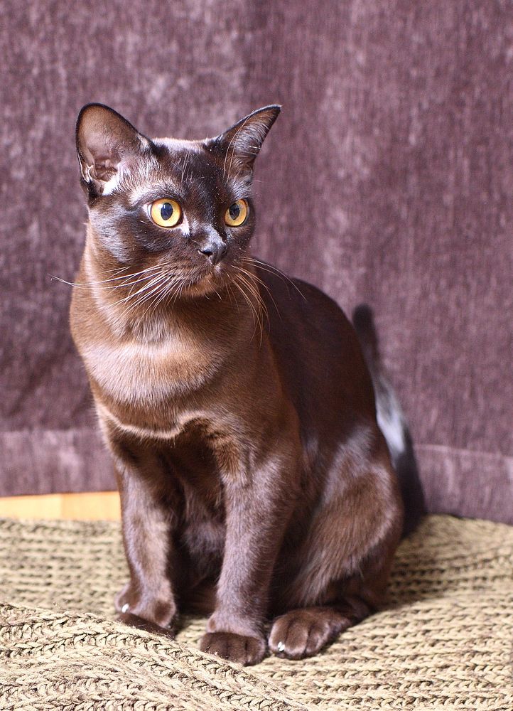 Photograph by Анна