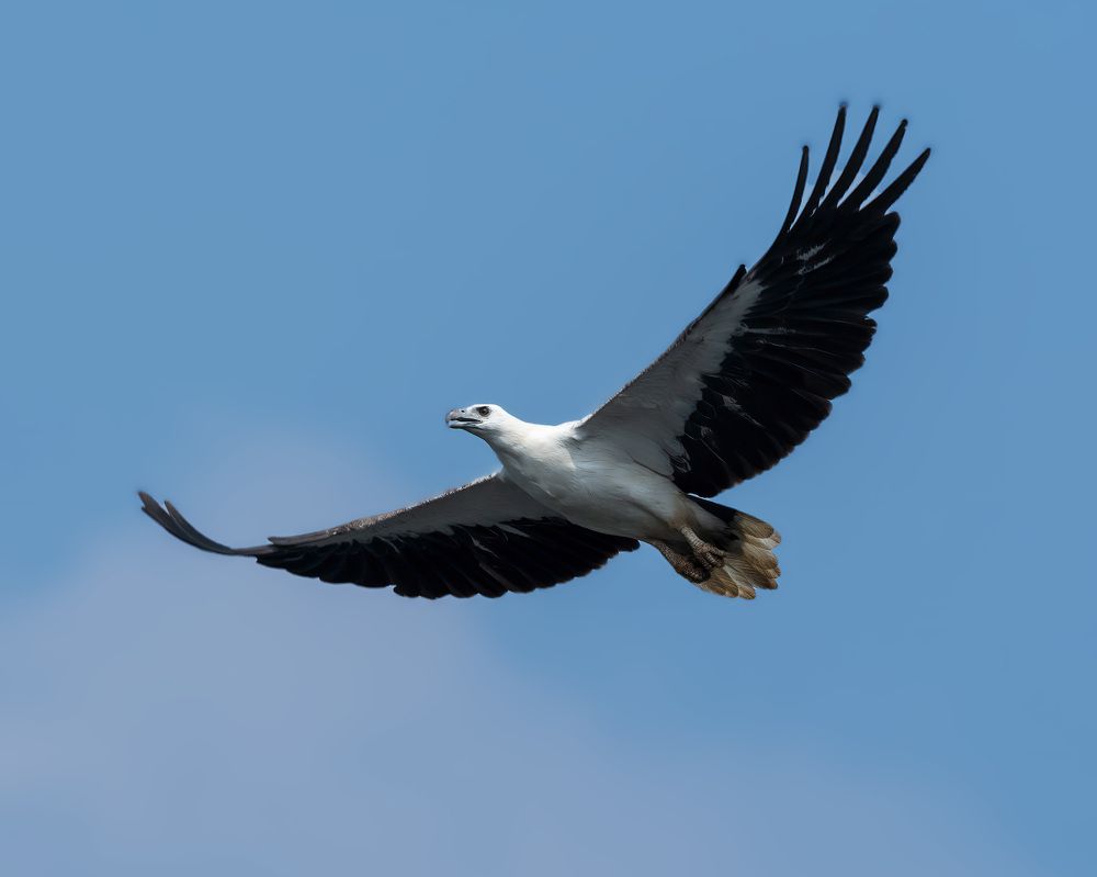 Photograph by tapas acharya