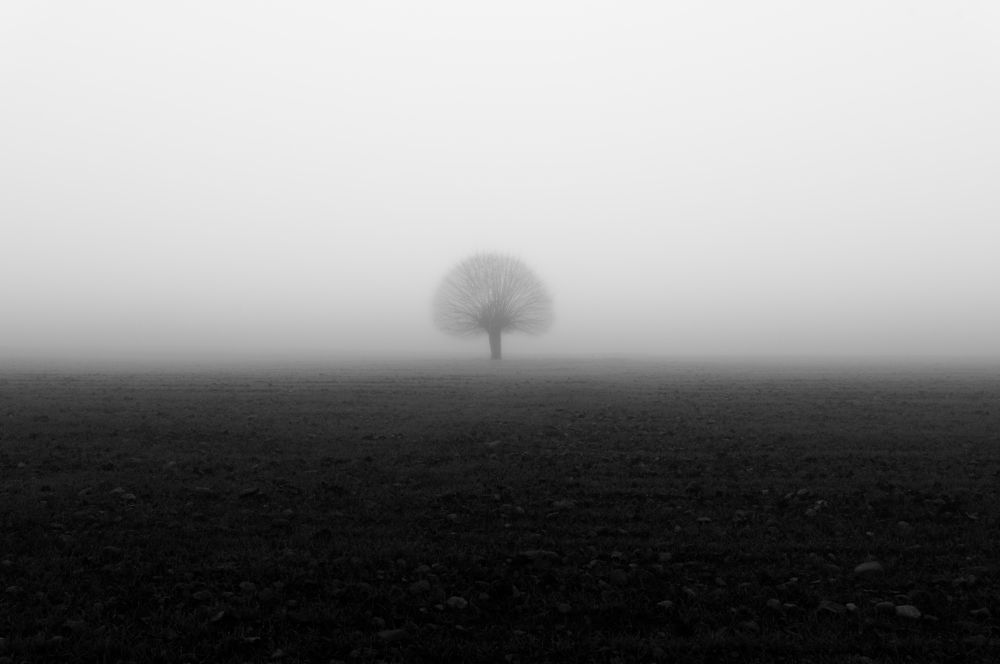 Photograph by Shakar fazel