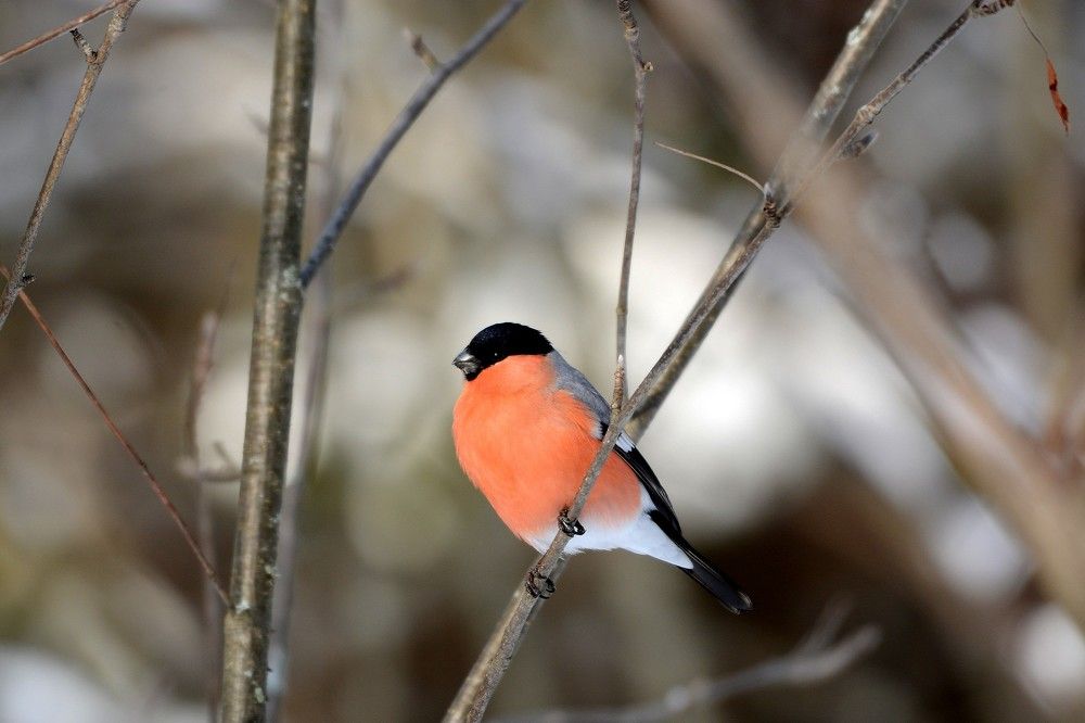 Фотография автора Садыков