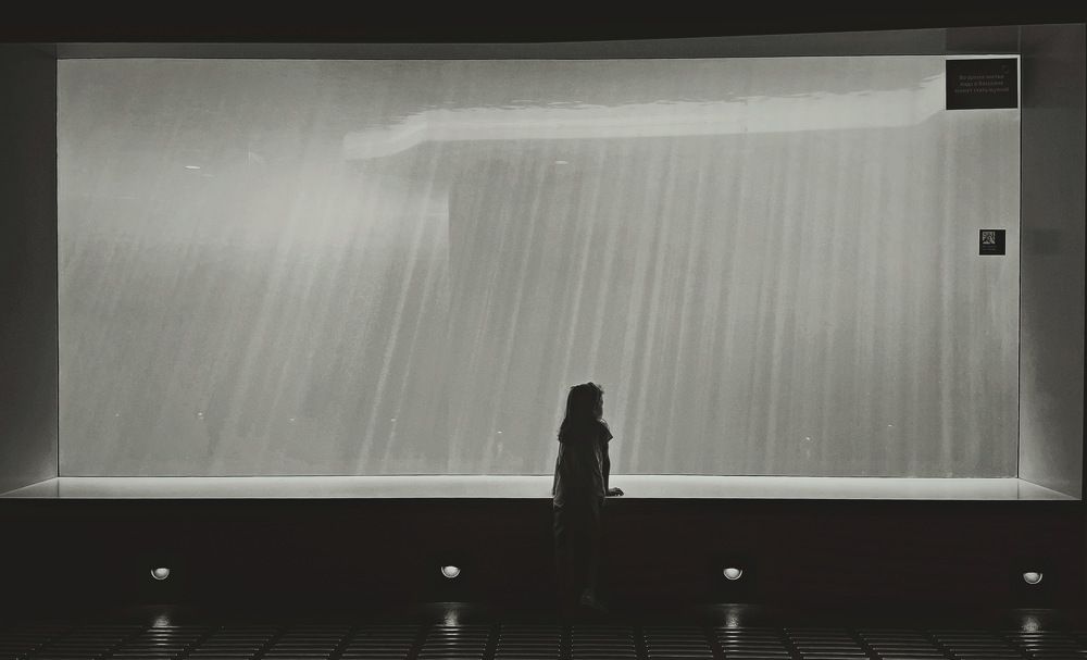 Photograph by Анна Байкина
