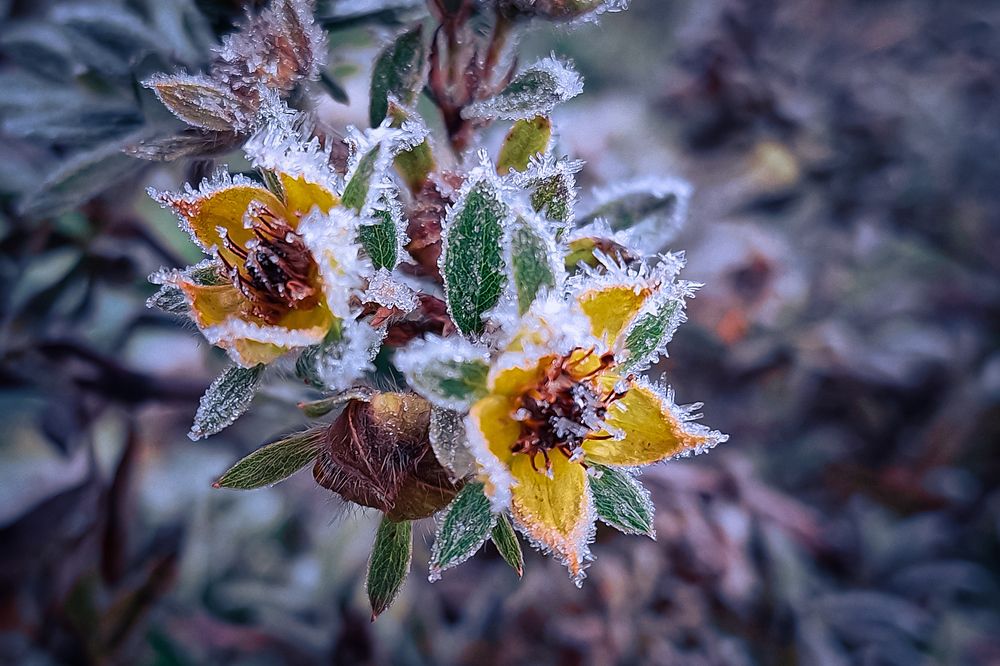 Photograph by Валентина Маслова