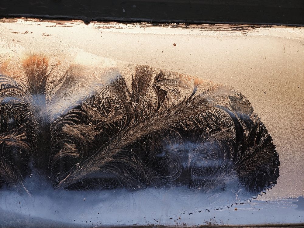 Photograph by Сергей