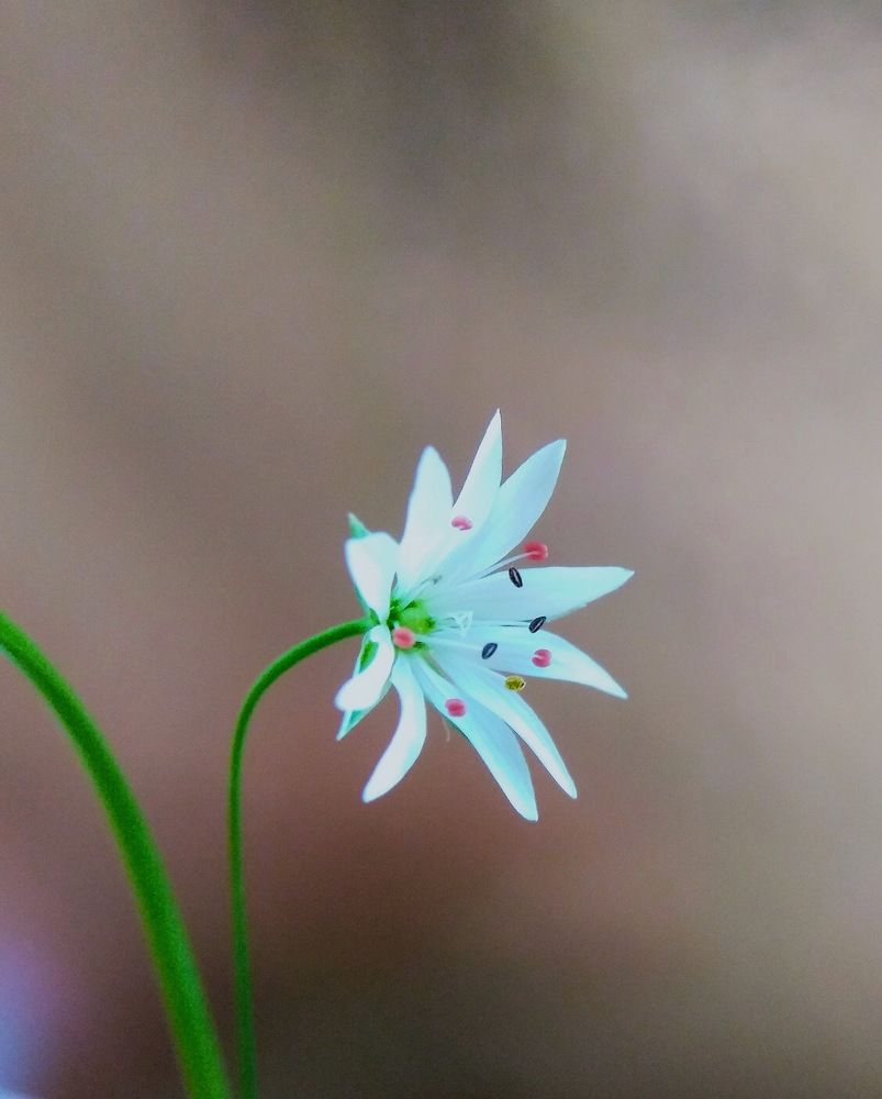 Photograph by Жанна Усатова