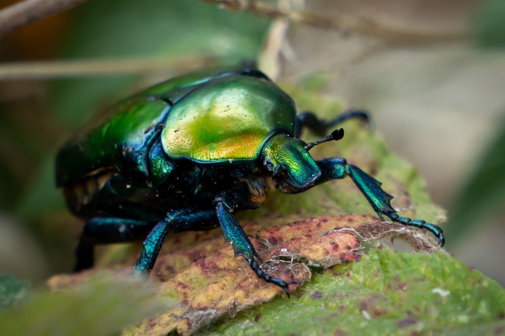 Photograph by Дмитрий Цикин