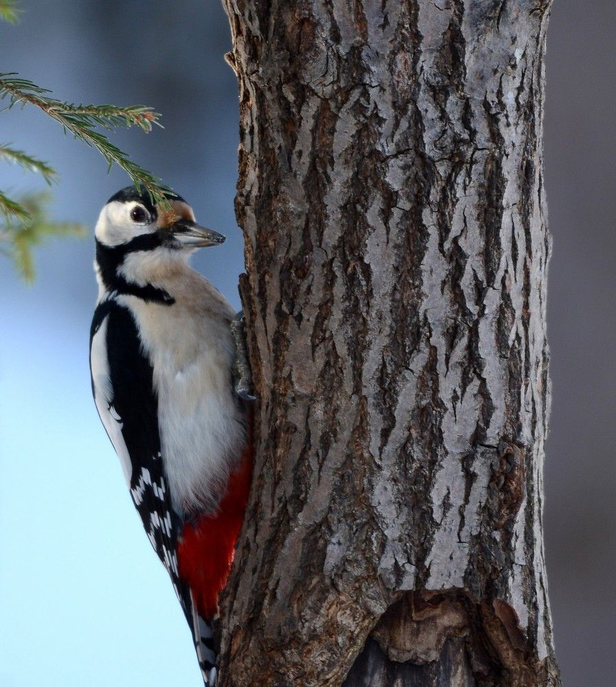 Фотография автора Садыков