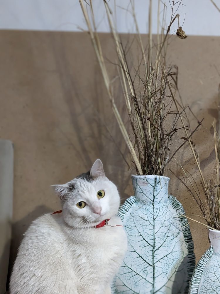 Photograph by Алексей Никифоров