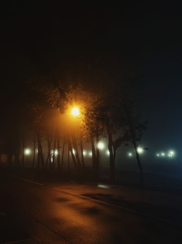 Photograph by Сергей