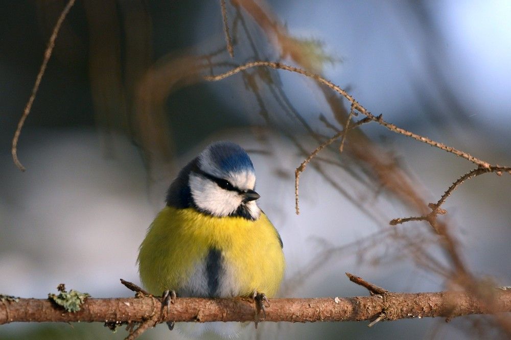 Фотография автора Садыков