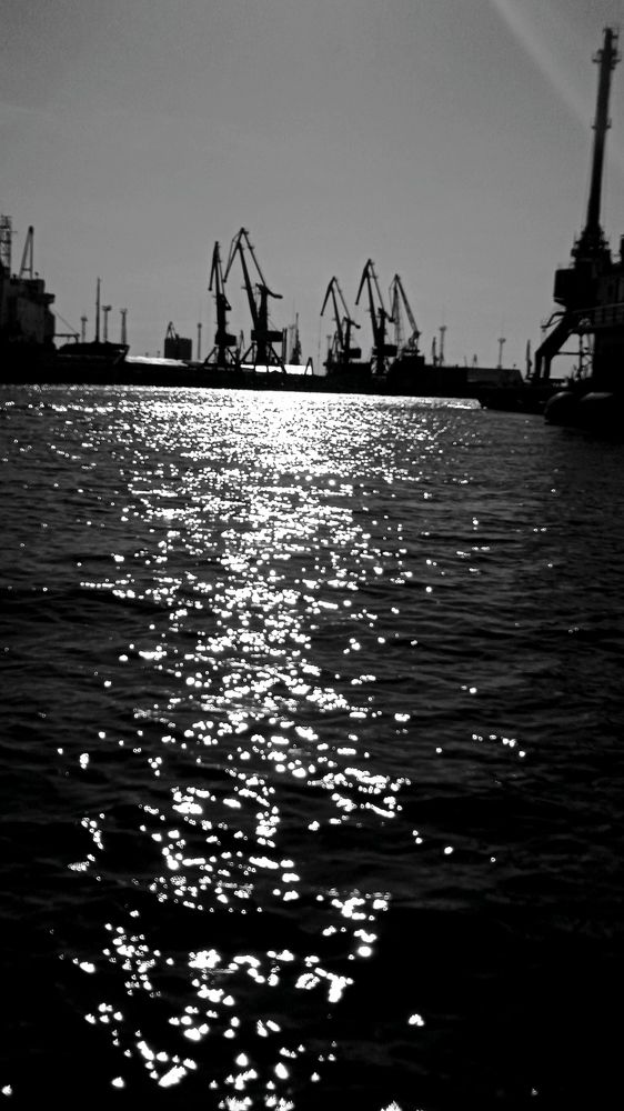 Калининградский порт