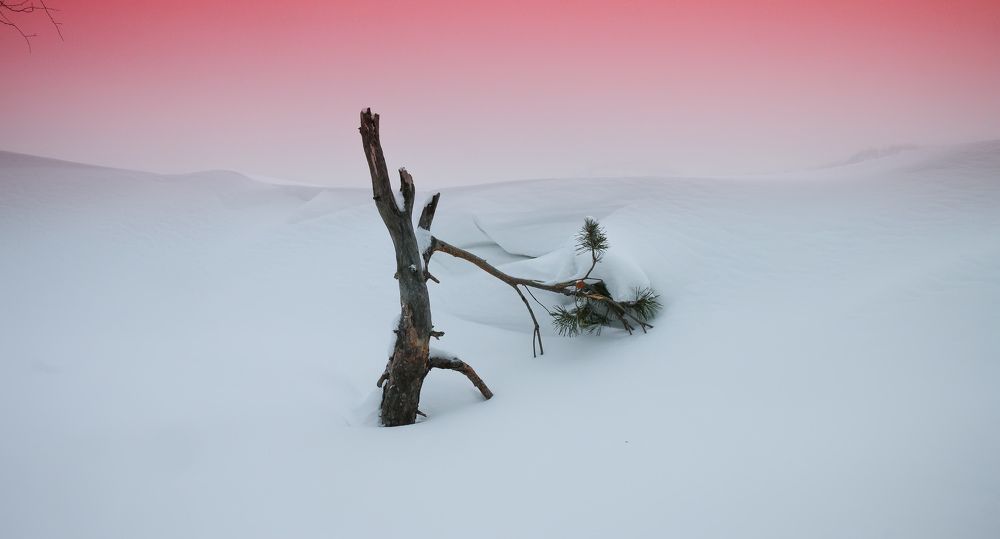 Photograph by Олег Мельченков