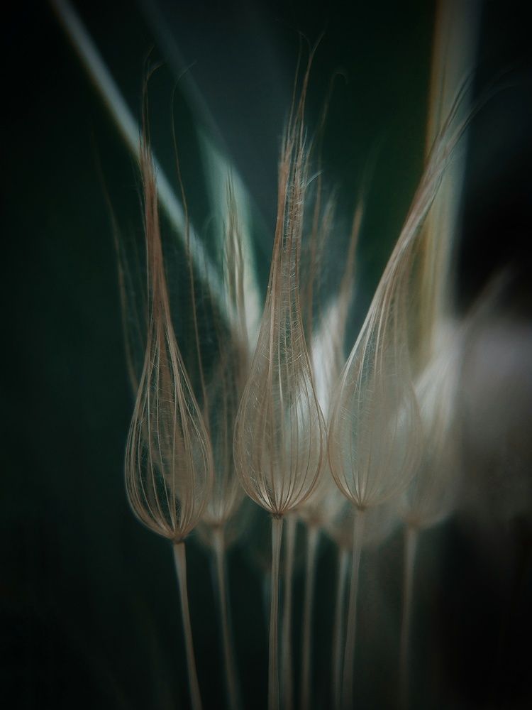 Фотография автора Наталья Алексеева