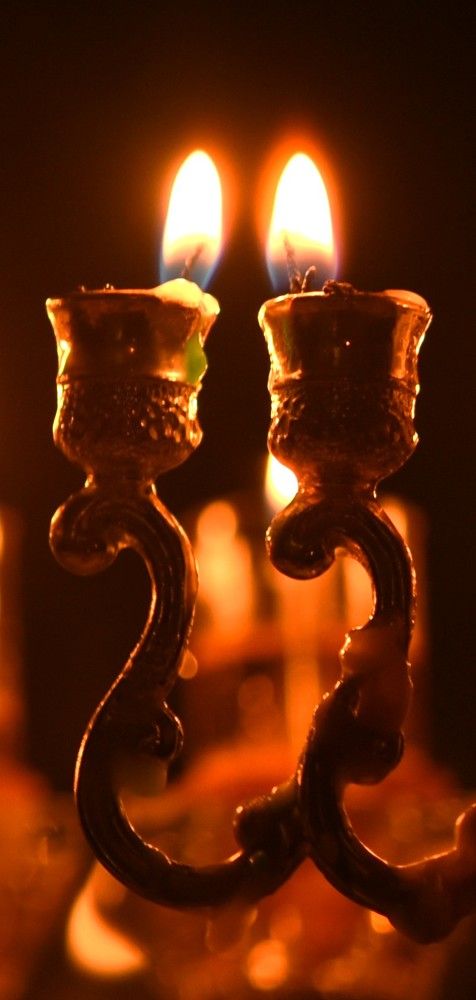 Фотография автора Ася Бабушкина