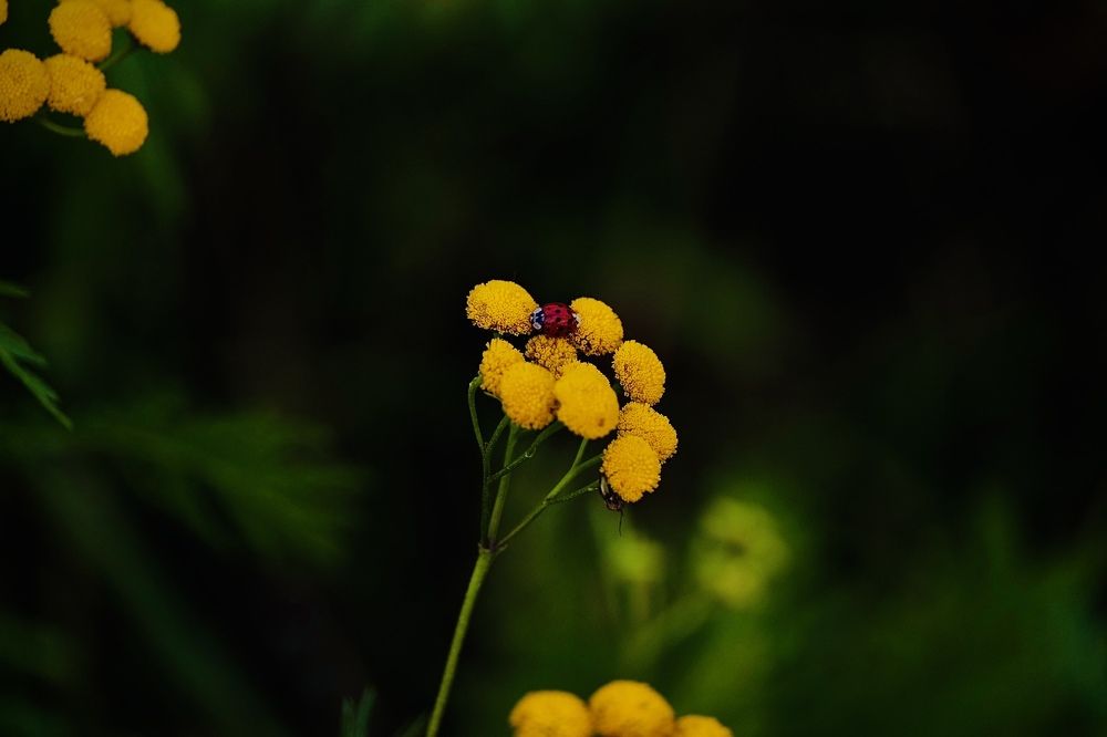 Photograph by Григоренко Семён