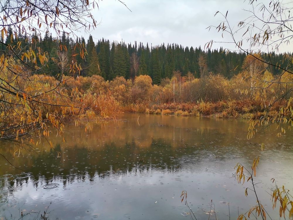 Photograph by Нина Титенкова