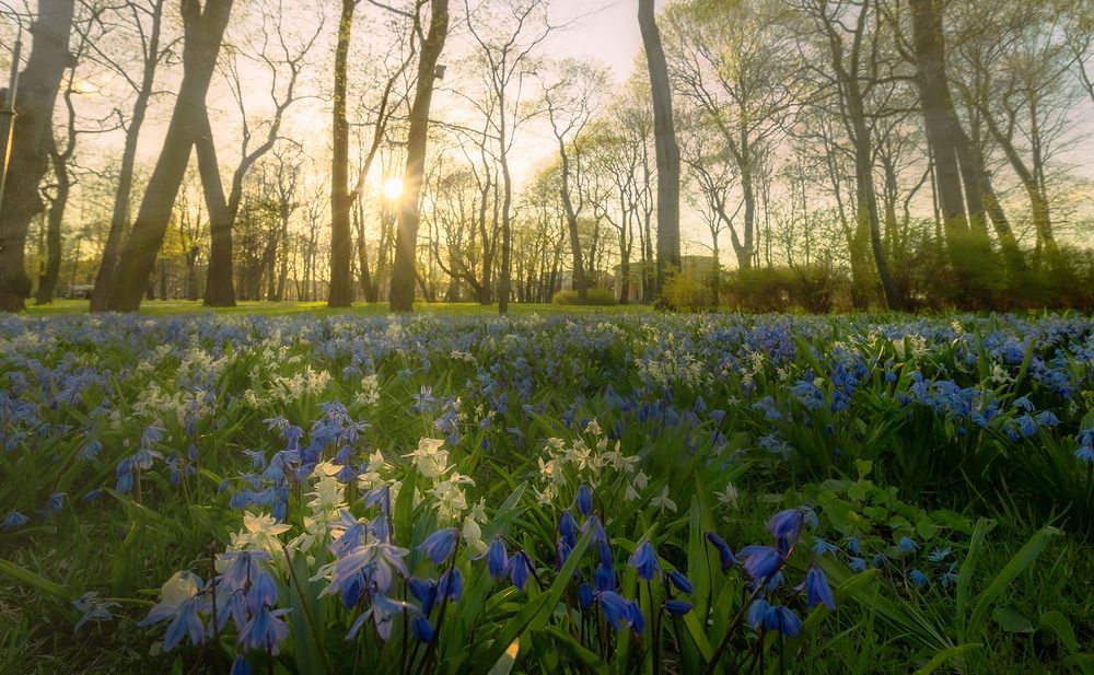 Photograph by Надежда Никитина