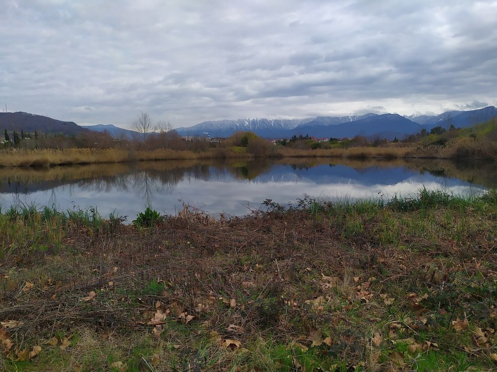 Фотография автора Анастасия Демина