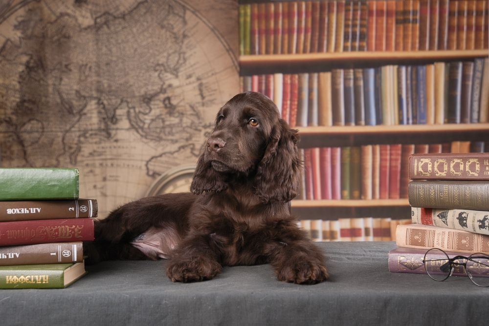 Photograph by наталья залогина