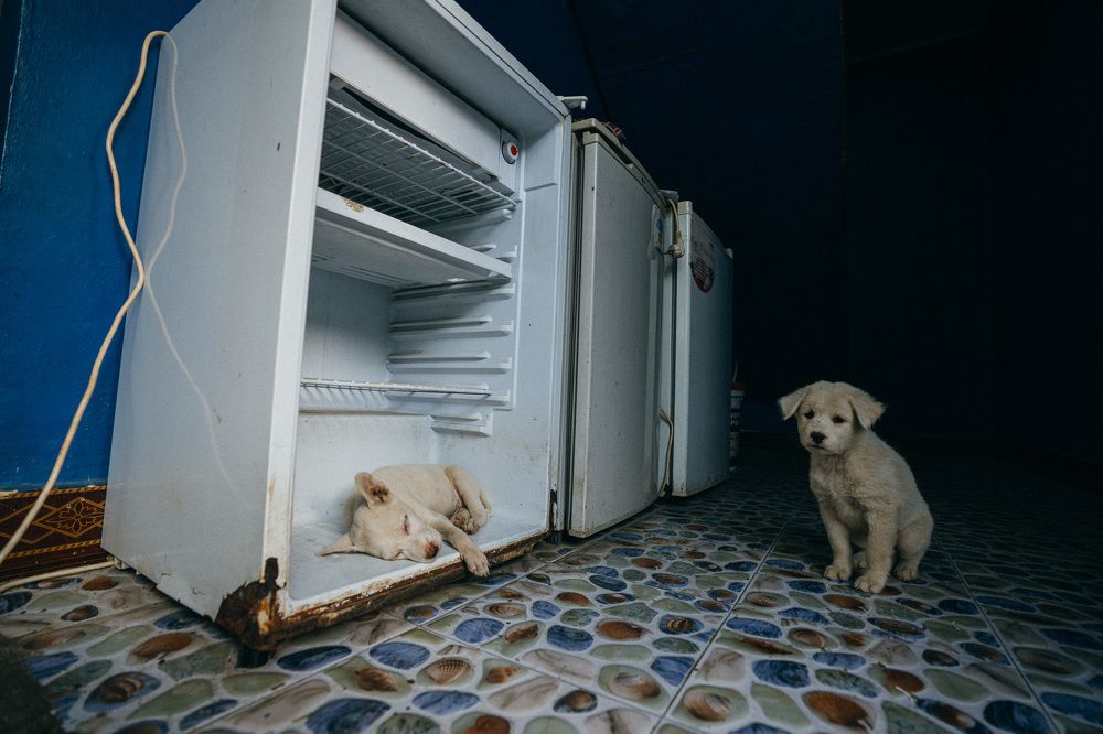 Photograph by Юрий Смольницкий