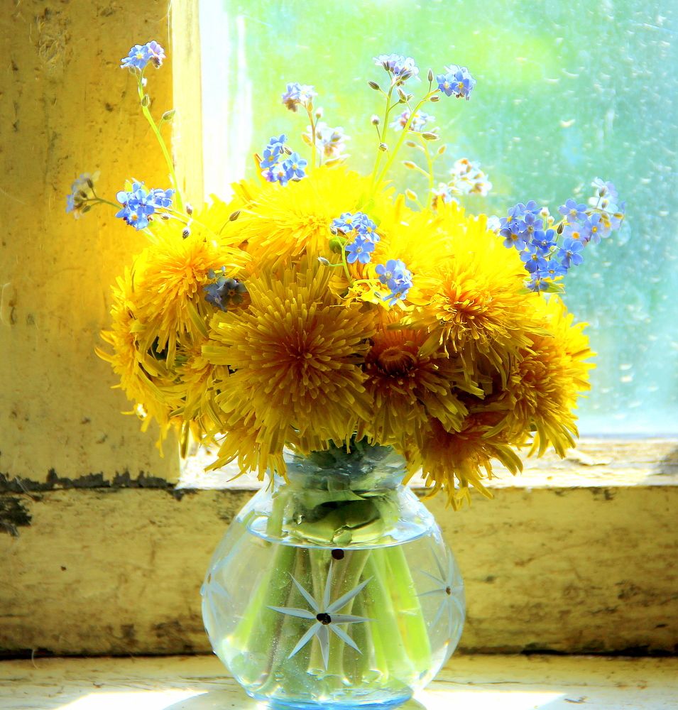 Photograph by 