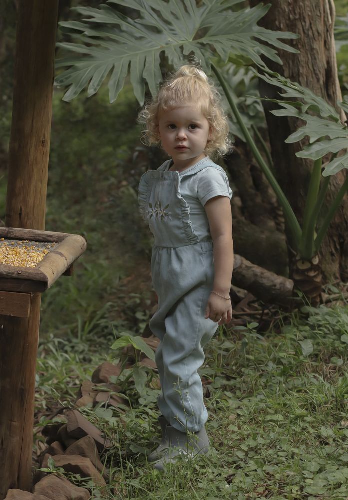 Photograph by Nutri Emili Trenhago