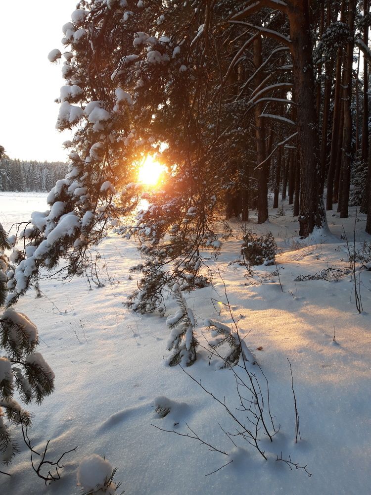 Photo #10369090