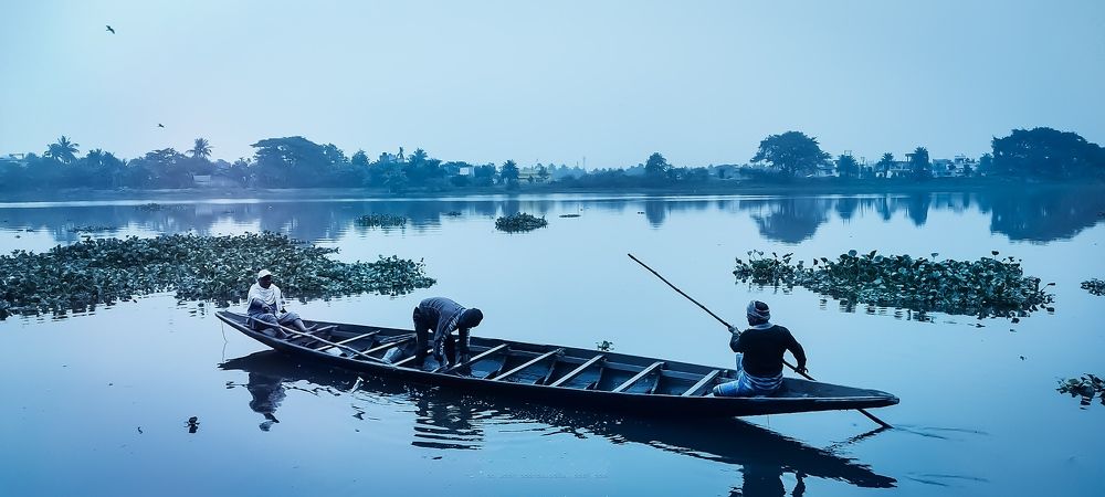 Mobile photographer | Nature & wild