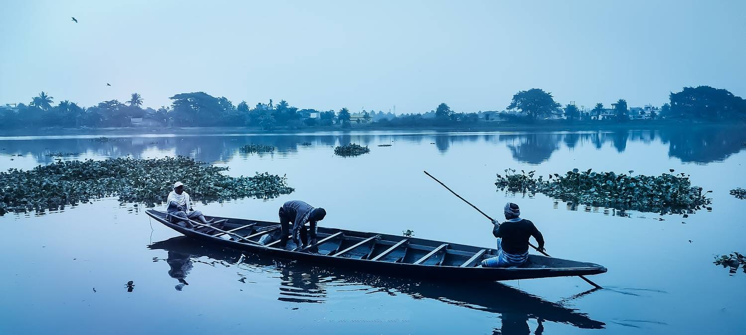 Mobile photographer | Nature & wild
