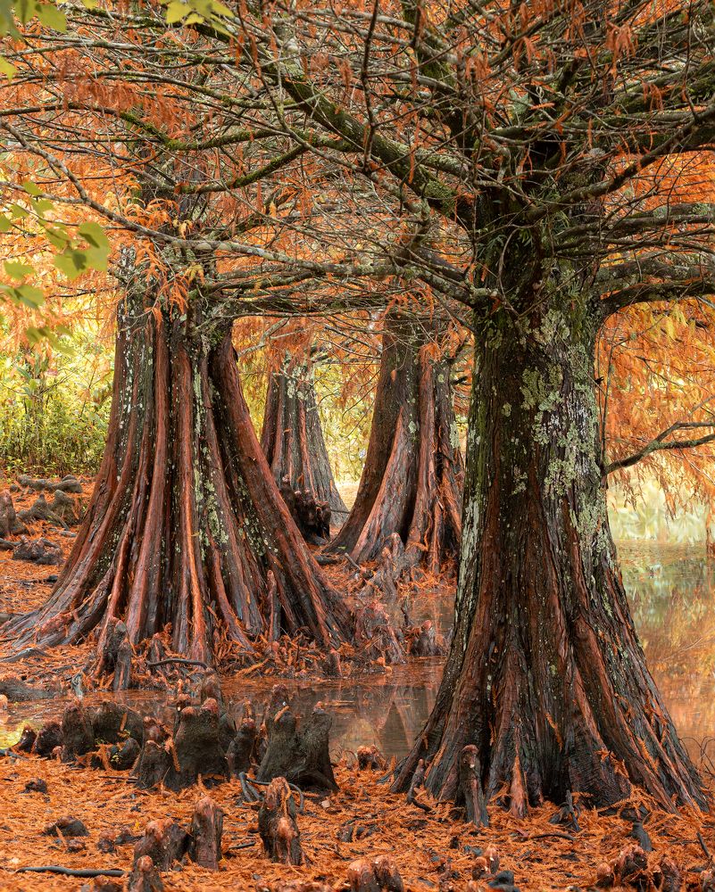 Photograph by Valdir Hobus