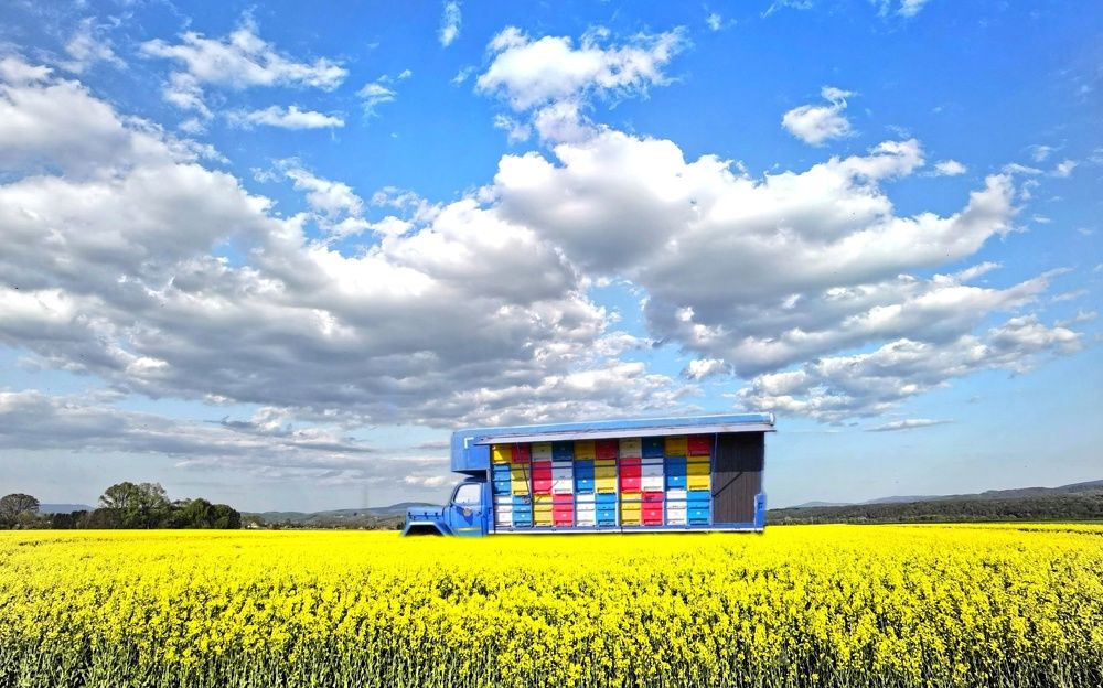 Photograph by Alen Brkić